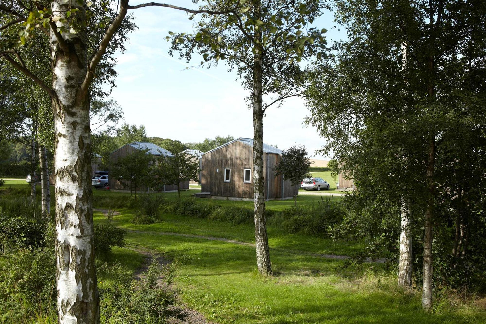 Camp Hverringe Dalby Room photo